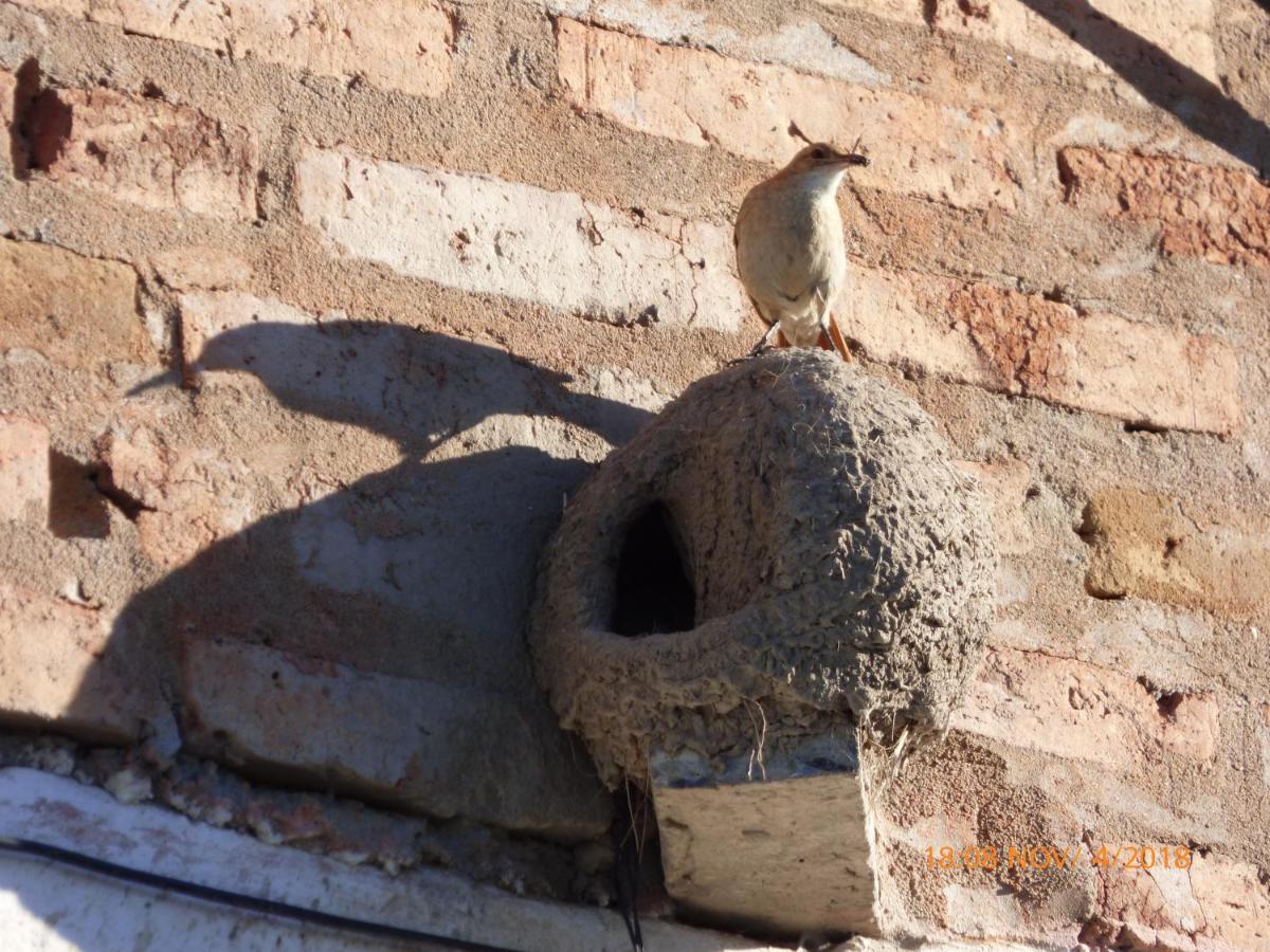 Holiday home Lelo Viedma
