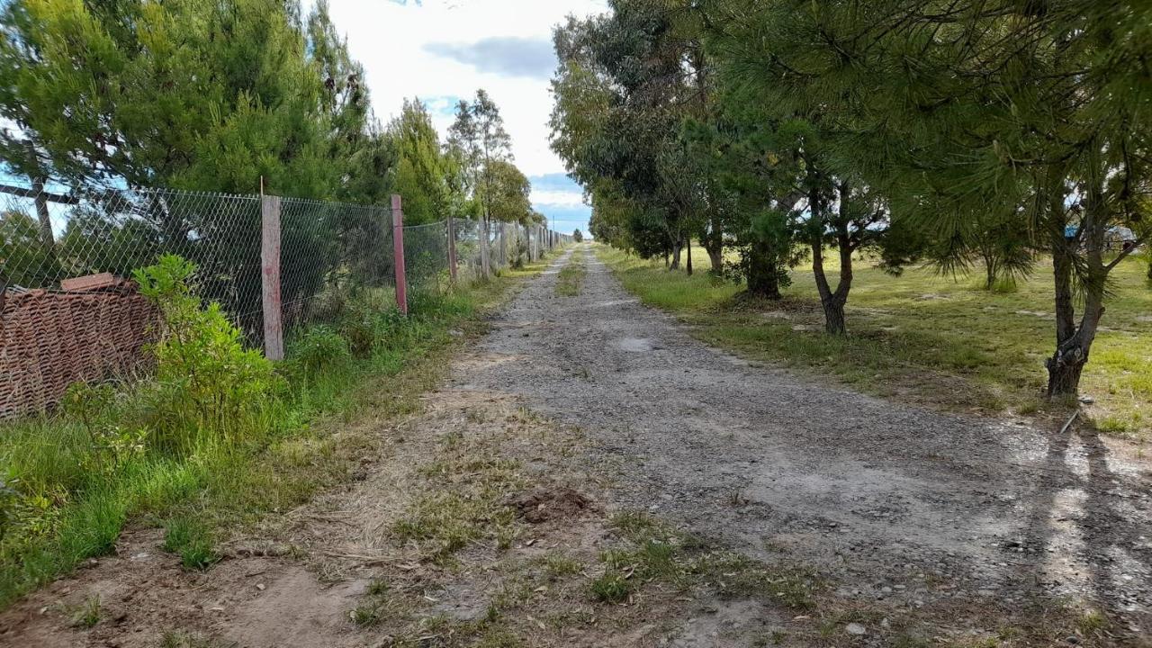 Сasa de vacaciones Lelo
